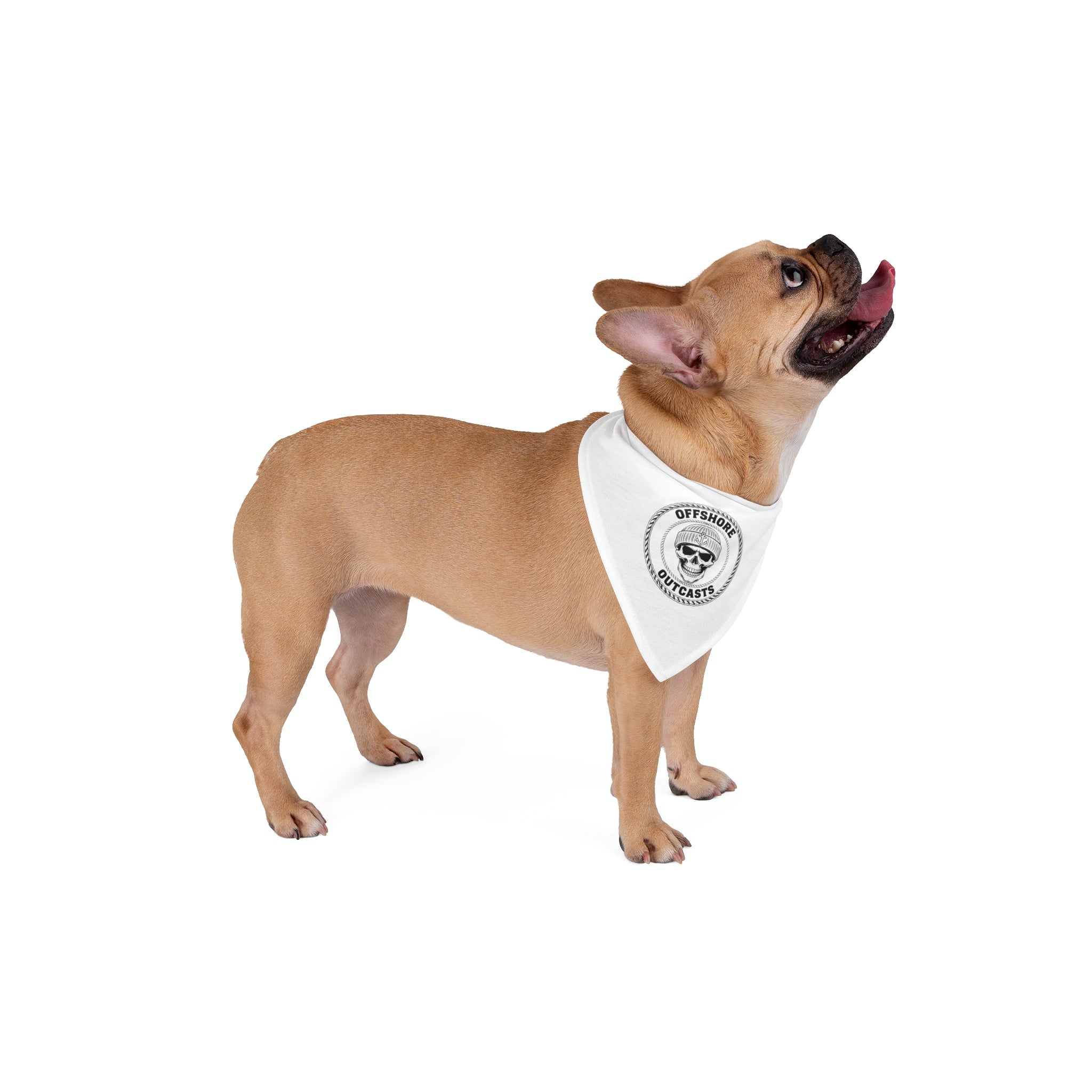 Offshore Outcasts Pet Bandana